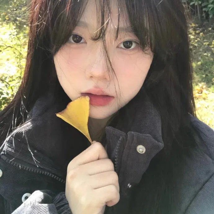 衣柜里的猫
